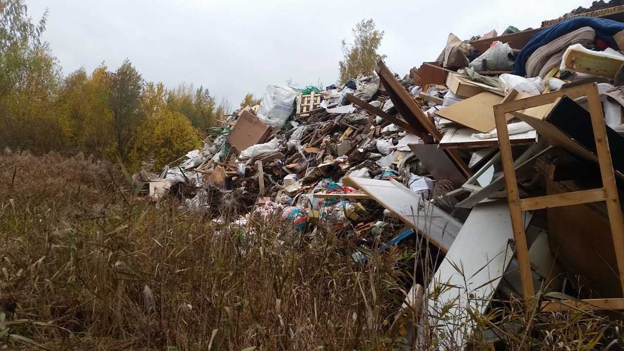 Фото: комитет по природопользованию, охране окружающей среды и обеспечению экологической безопасности